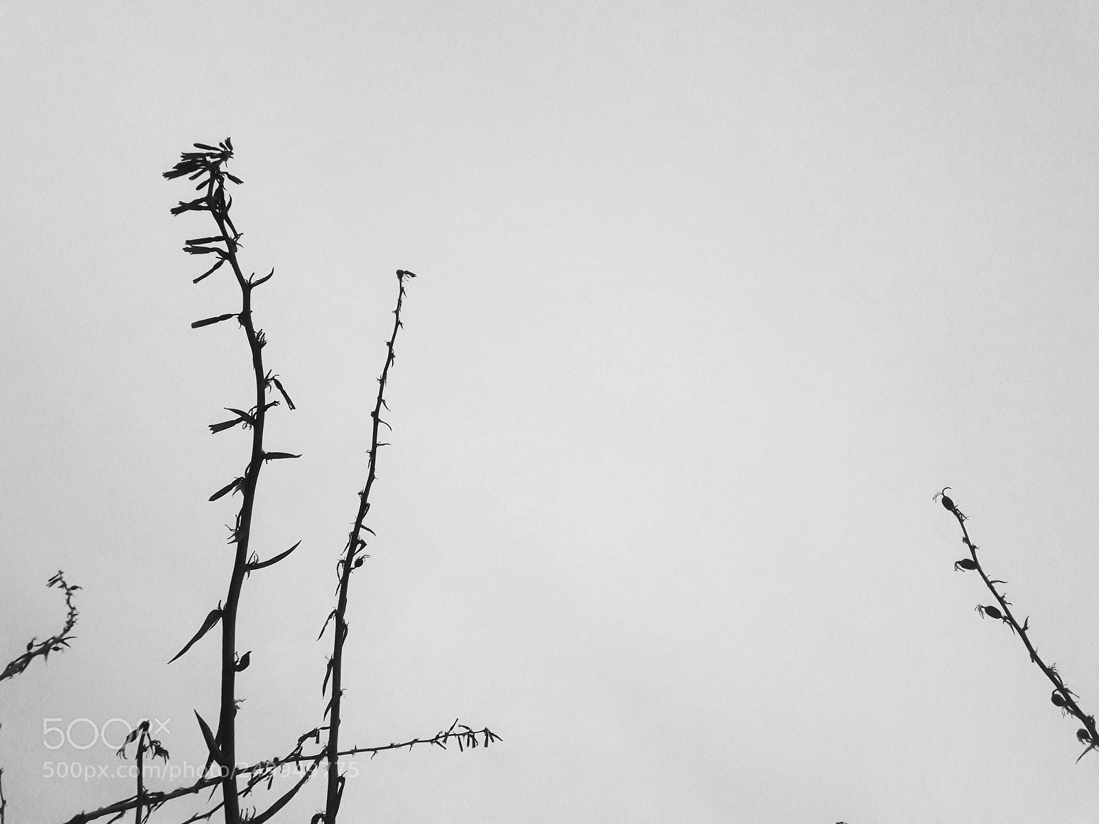 Samsung Galaxy J7 sample photo. Untitled photography