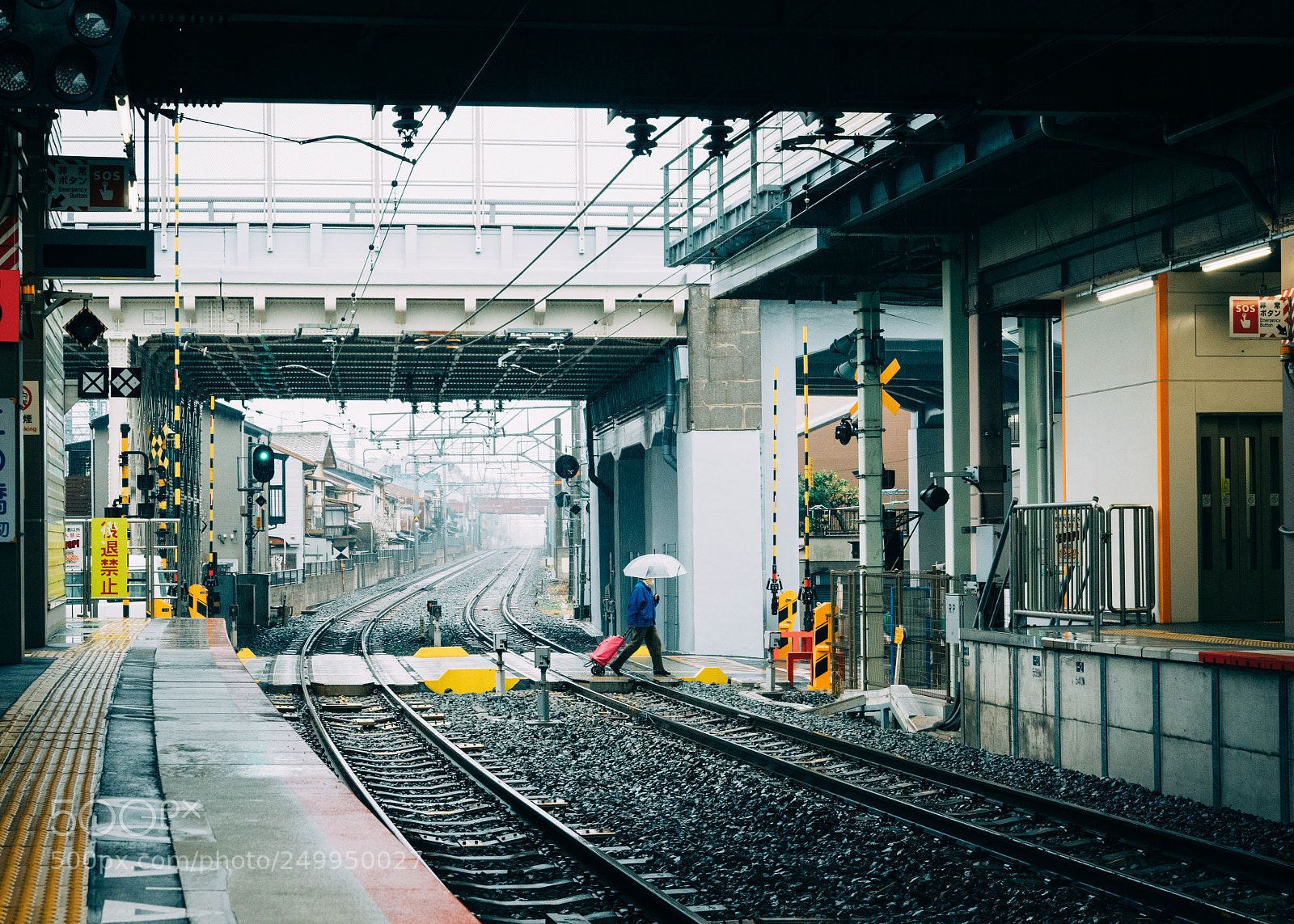 Nikon D5300 sample photo. Rainy day in kyoto photography