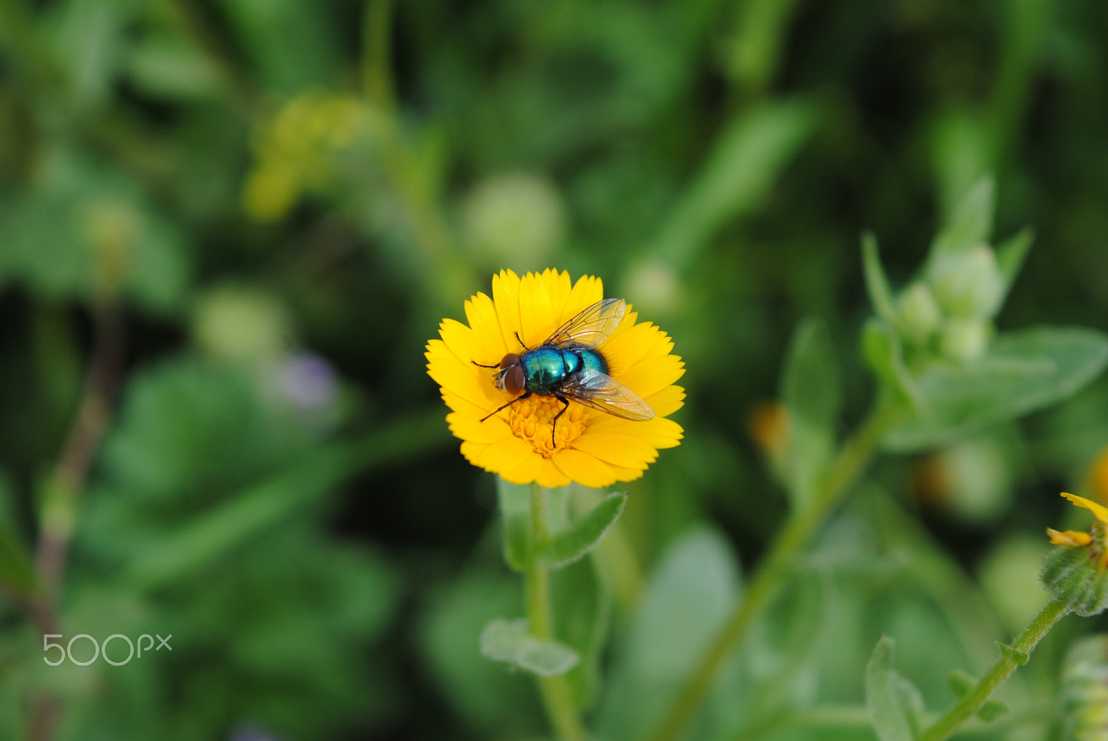 Nikon D3000 sample photo. A little break photography