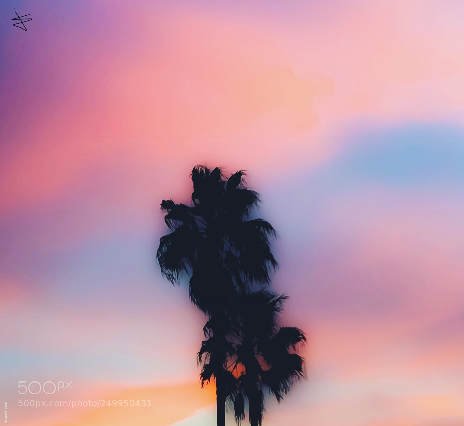 Apple iPhone 6 sample photo. Palms. photography