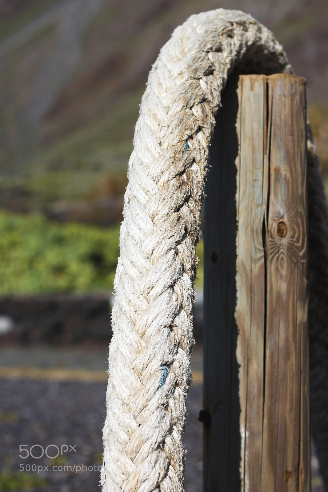 Canon EOS 700D (EOS Rebel T5i / EOS Kiss X7i) sample photo. Soga photography