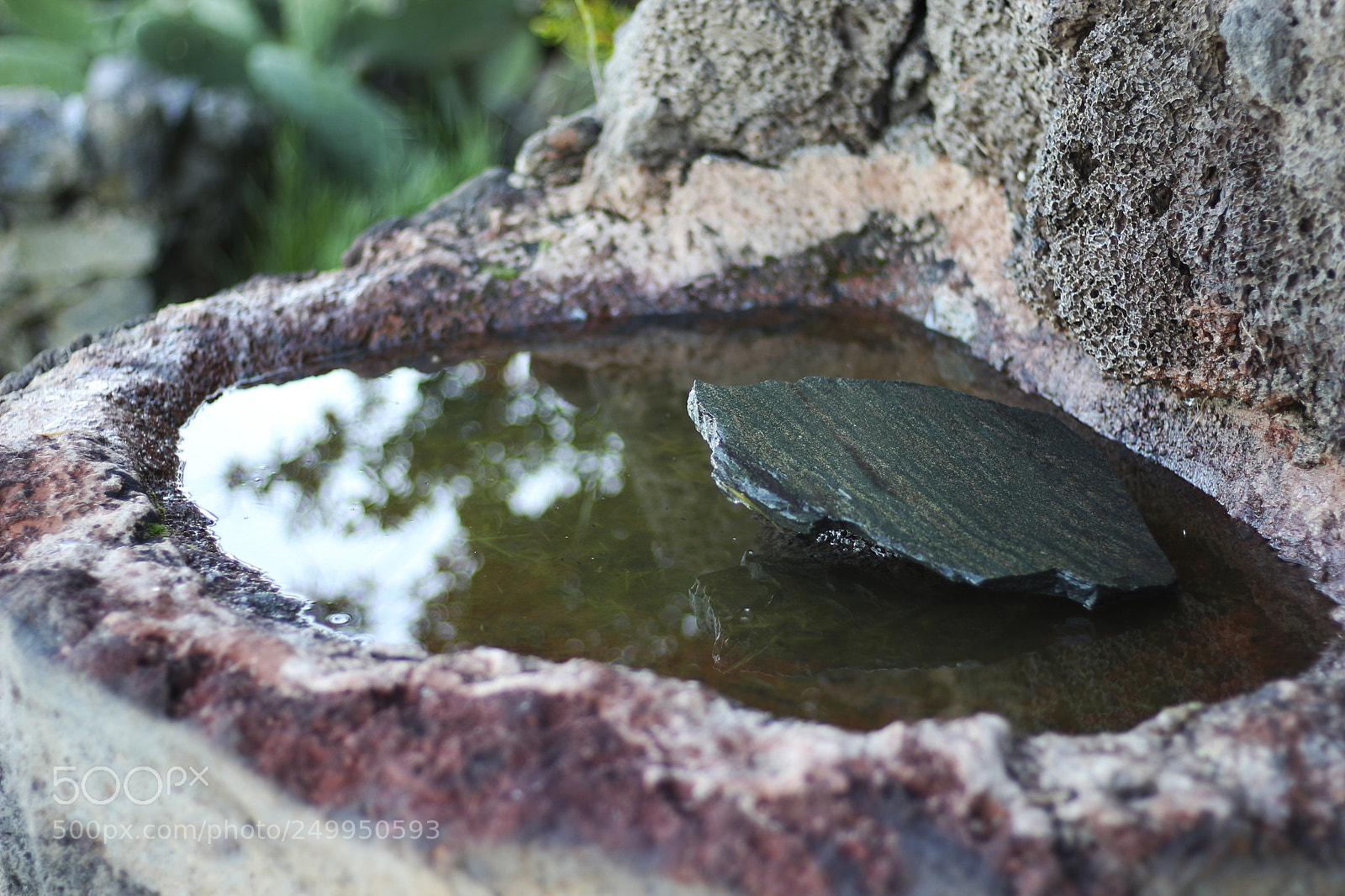 Canon EOS 700D (EOS Rebel T5i / EOS Kiss X7i) sample photo. Fuente photography