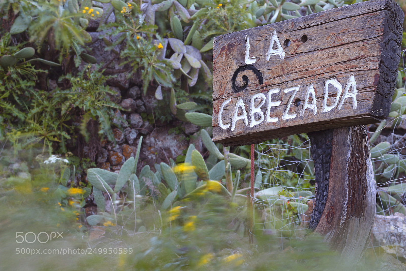 Canon EOS 700D (EOS Rebel T5i / EOS Kiss X7i) sample photo. La cabezada photography