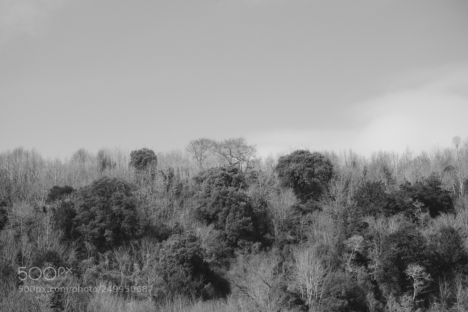 Fujifilm X-Pro2 sample photo. Untitled photography