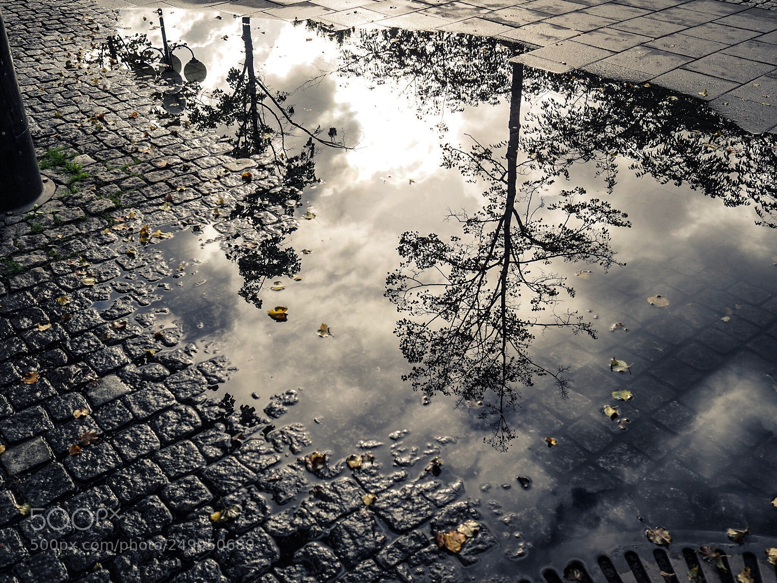 Olympus OM-D E-M1 Mark II sample photo. Mirror photography