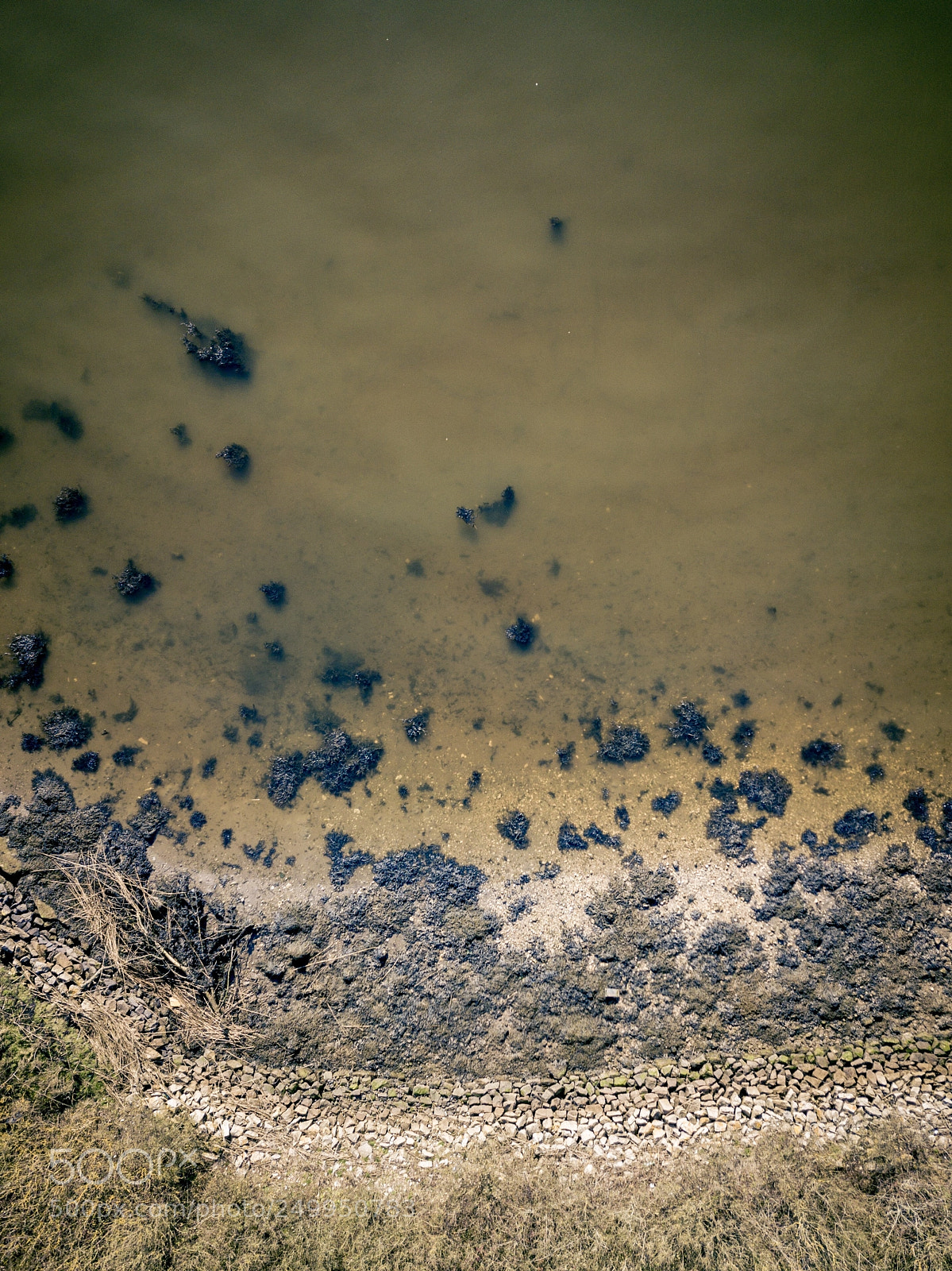 DJI FC220 sample photo. Shoreline photography