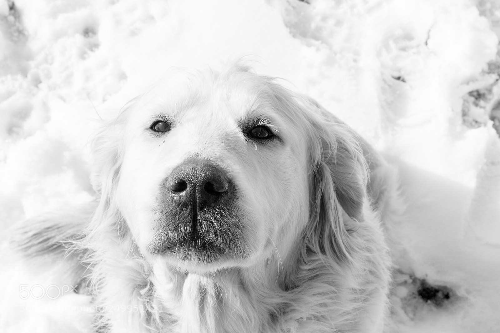 Canon EOS 600D (Rebel EOS T3i / EOS Kiss X5) sample photo. Heaven guard photography
