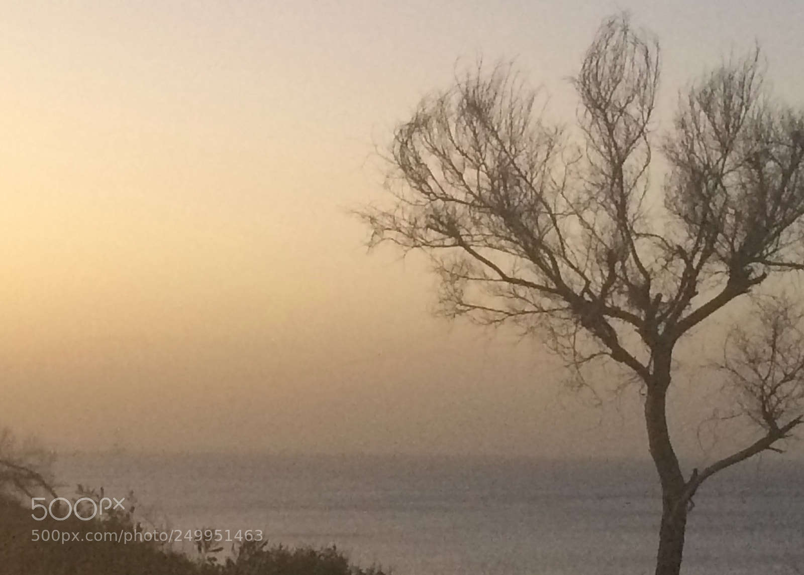 Apple iPhone 5s sample photo. Untitled photography