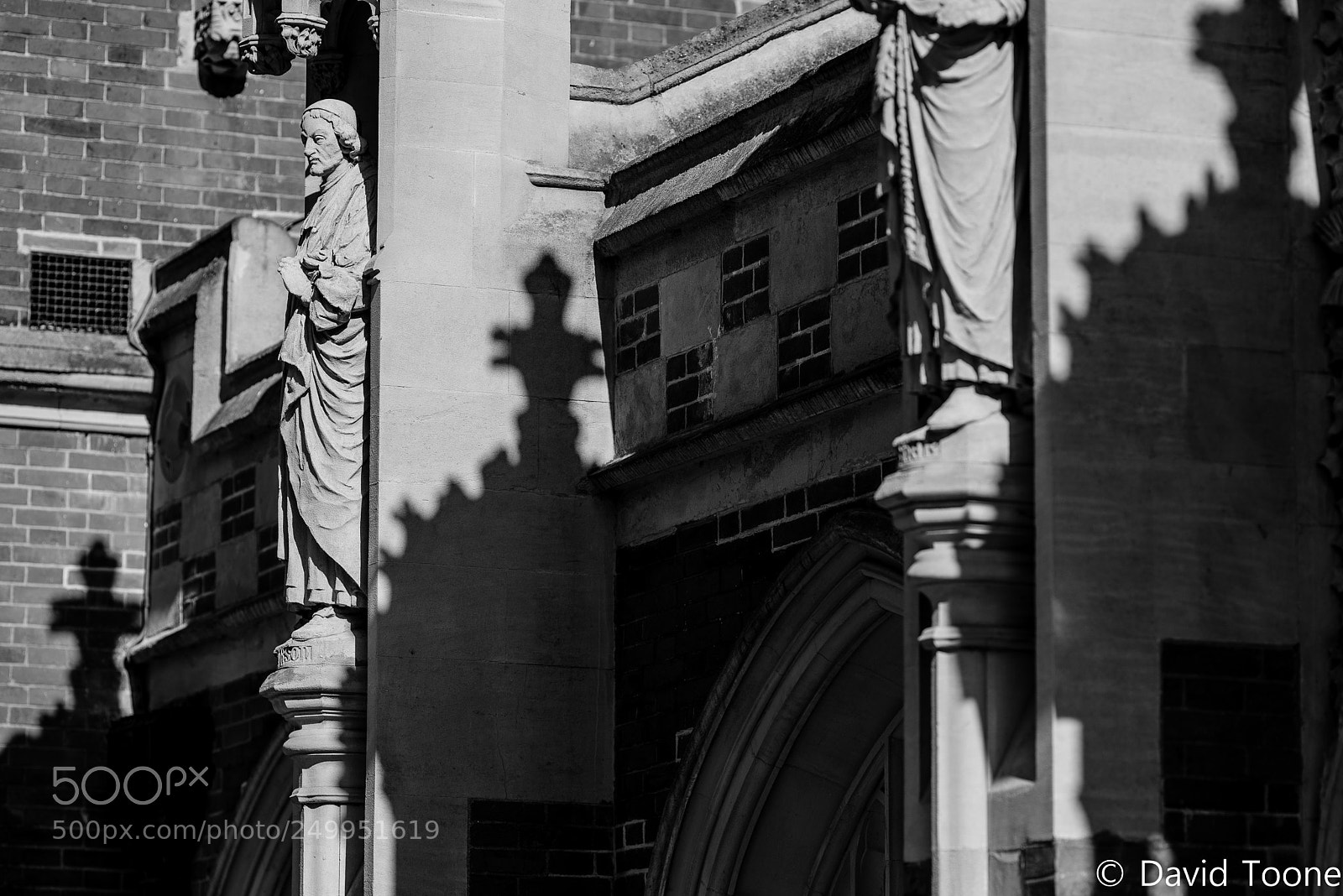 Nikon D800 sample photo. Shadow photography