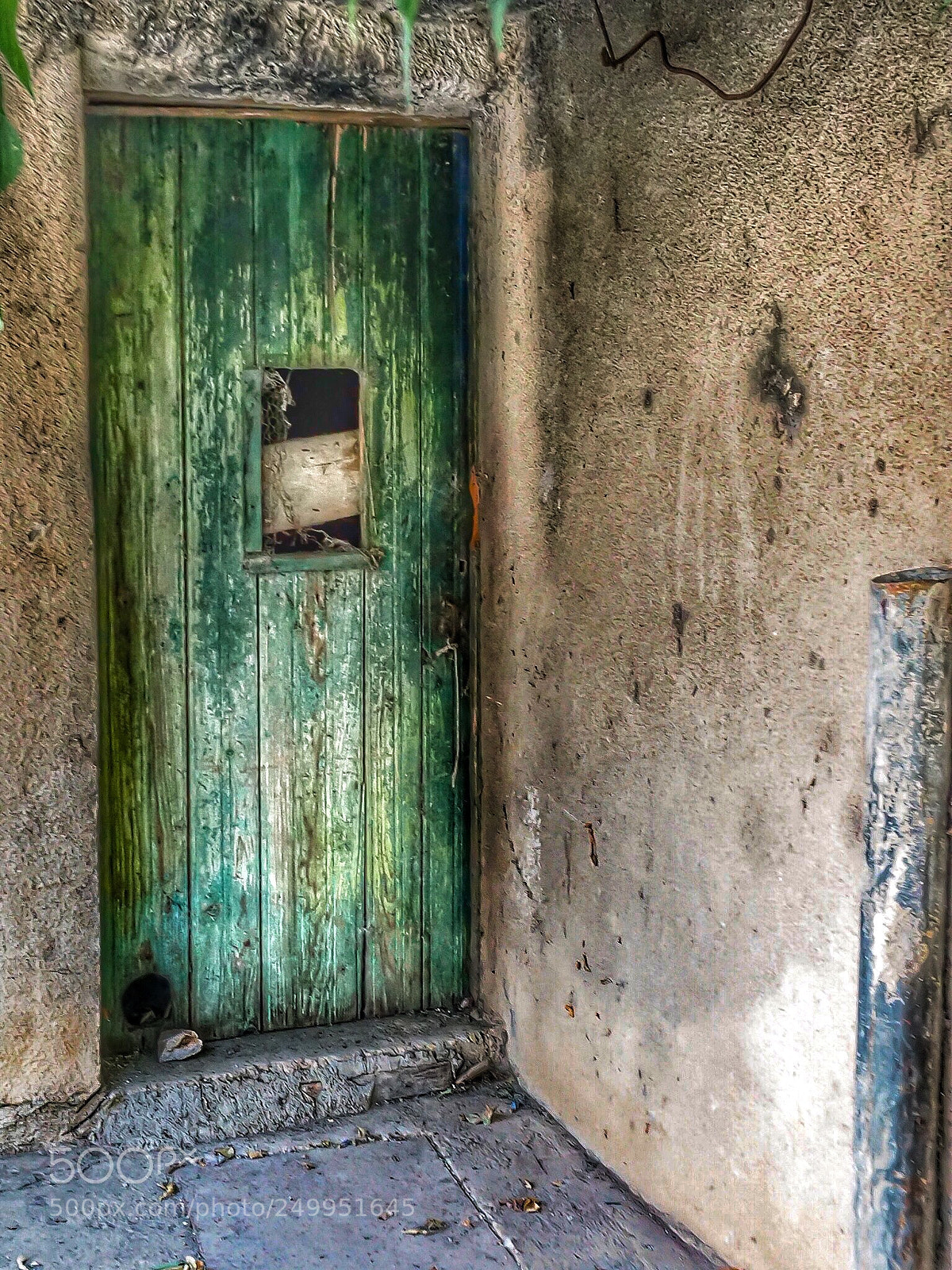 Olympus OM-D E-M1 Mark II sample photo. The old green door photography