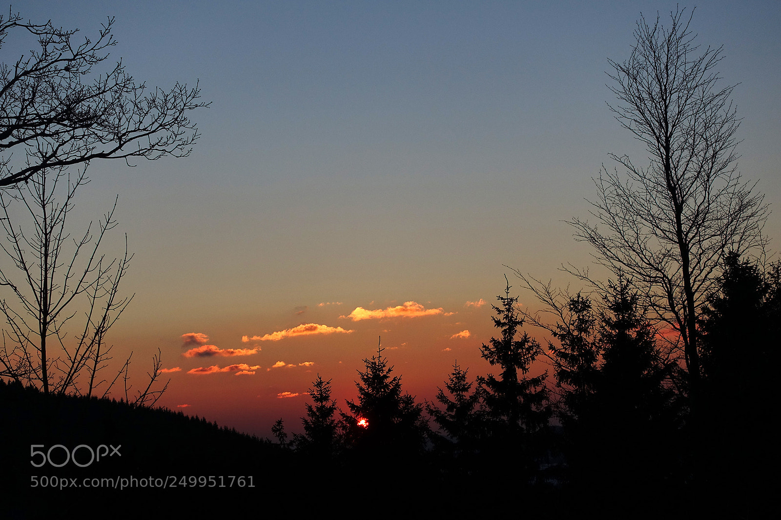 Sony Cyber-shot DSC-RX100 III sample photo. Baum-silhouette am kahlen asten photography