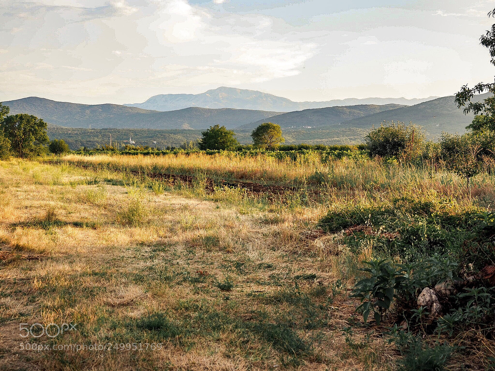 Olympus OM-D E-M1 Mark II sample photo. Field in kroatien photography