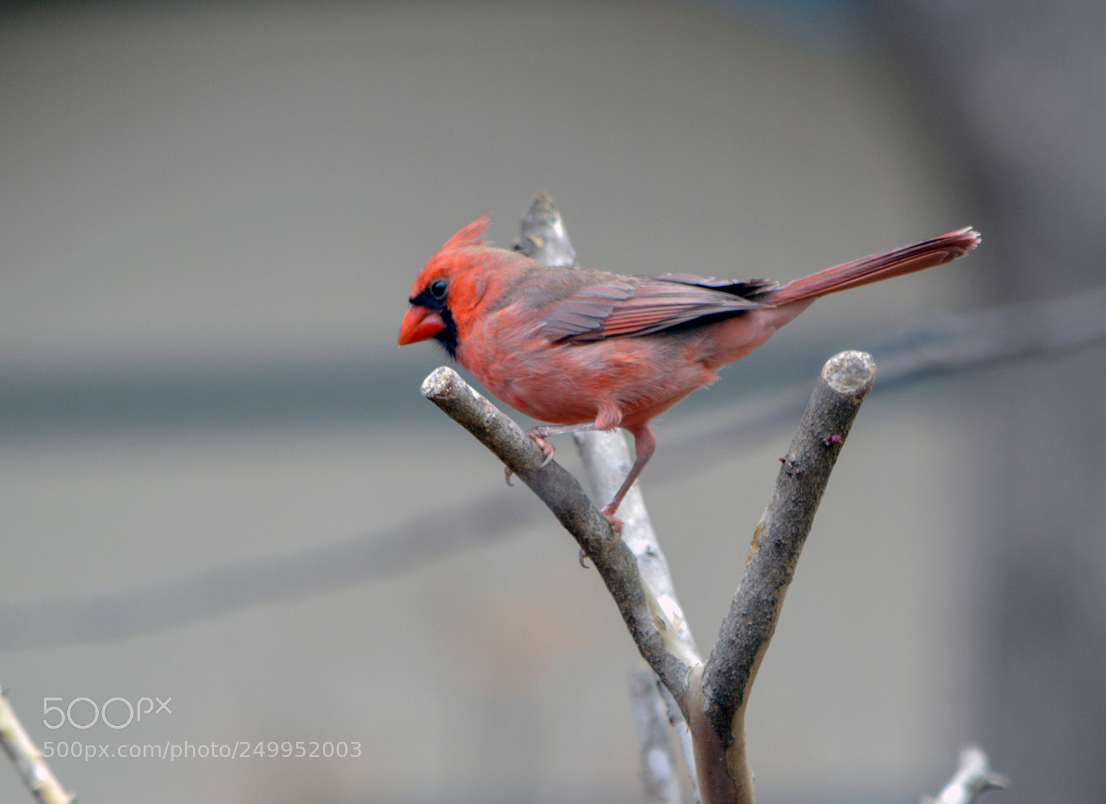 Nikon D3200 sample photo. High ground photography