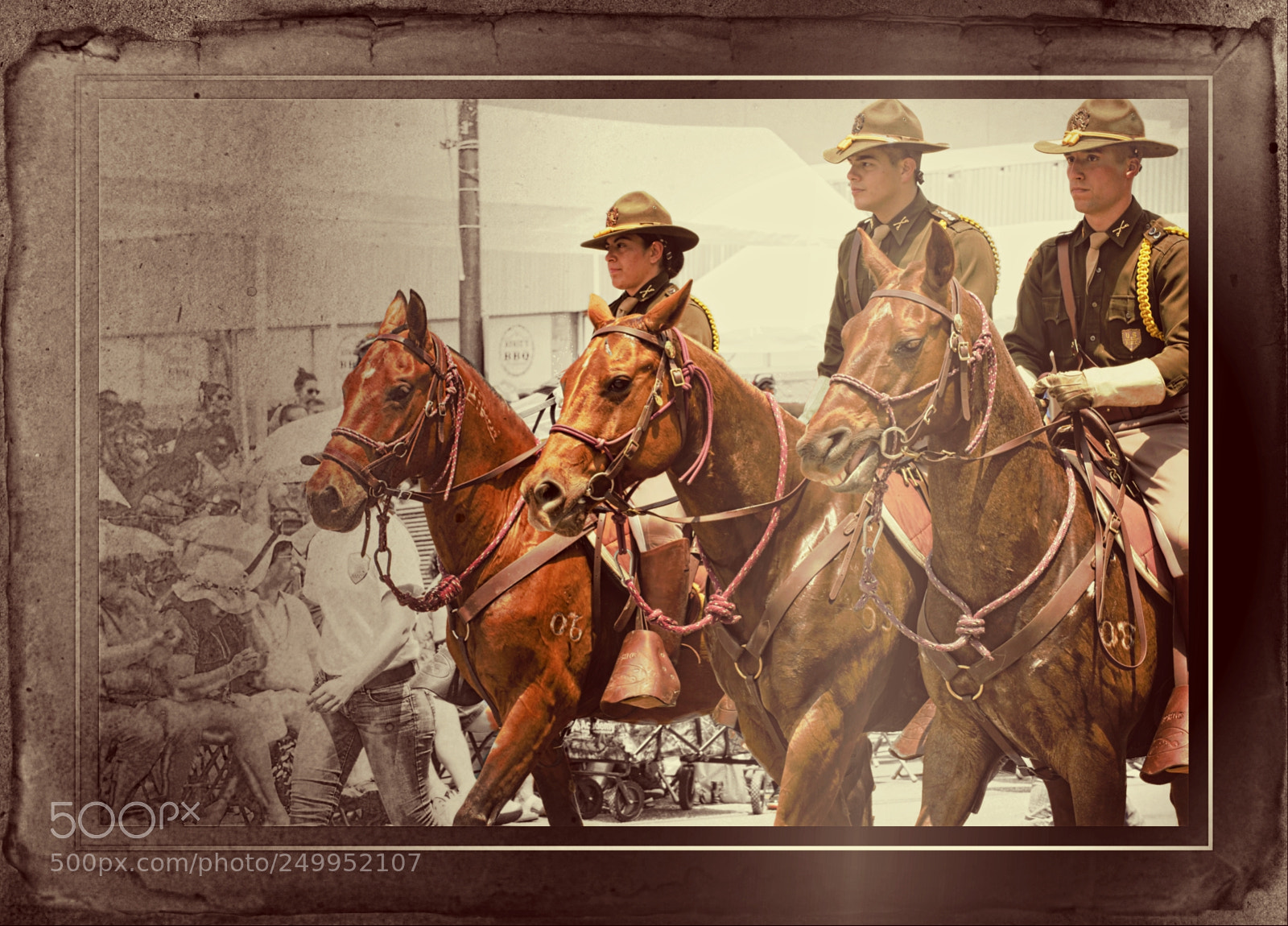 Nikon D810 sample photo. Military honor photography