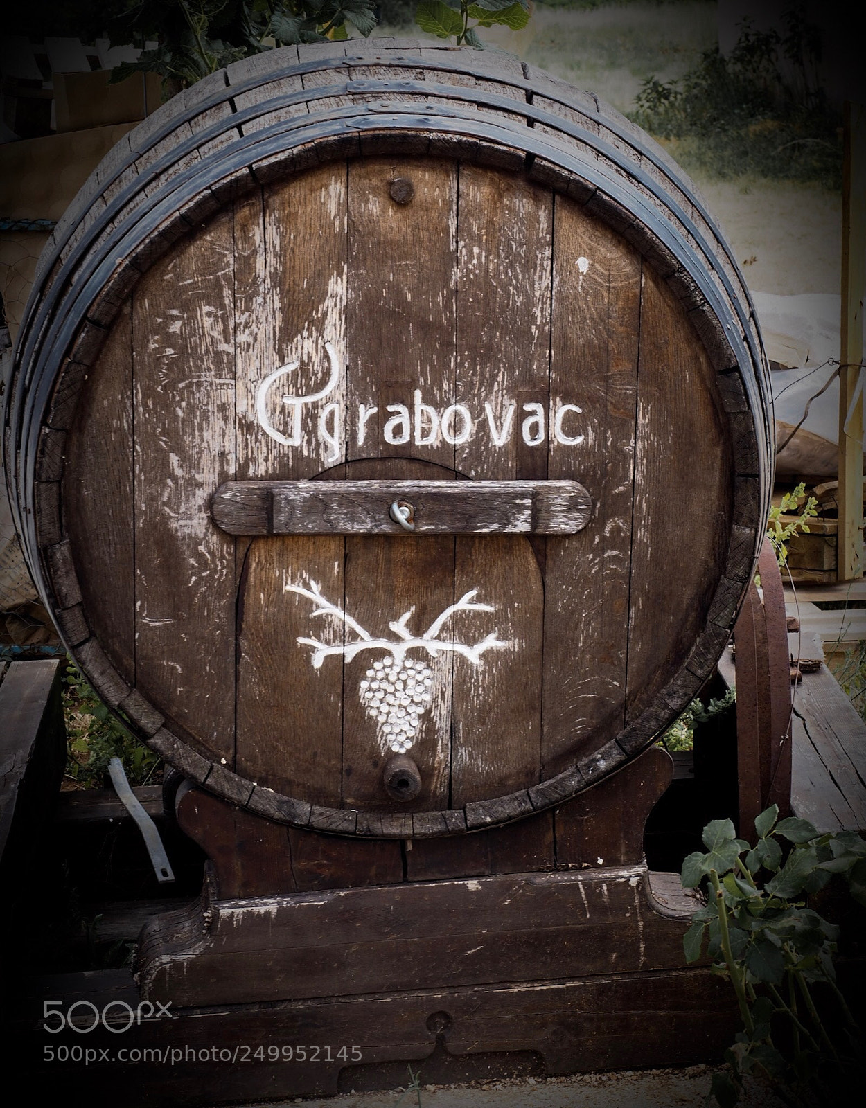Olympus OM-D E-M1 Mark II sample photo. Vinyard grabovac photography