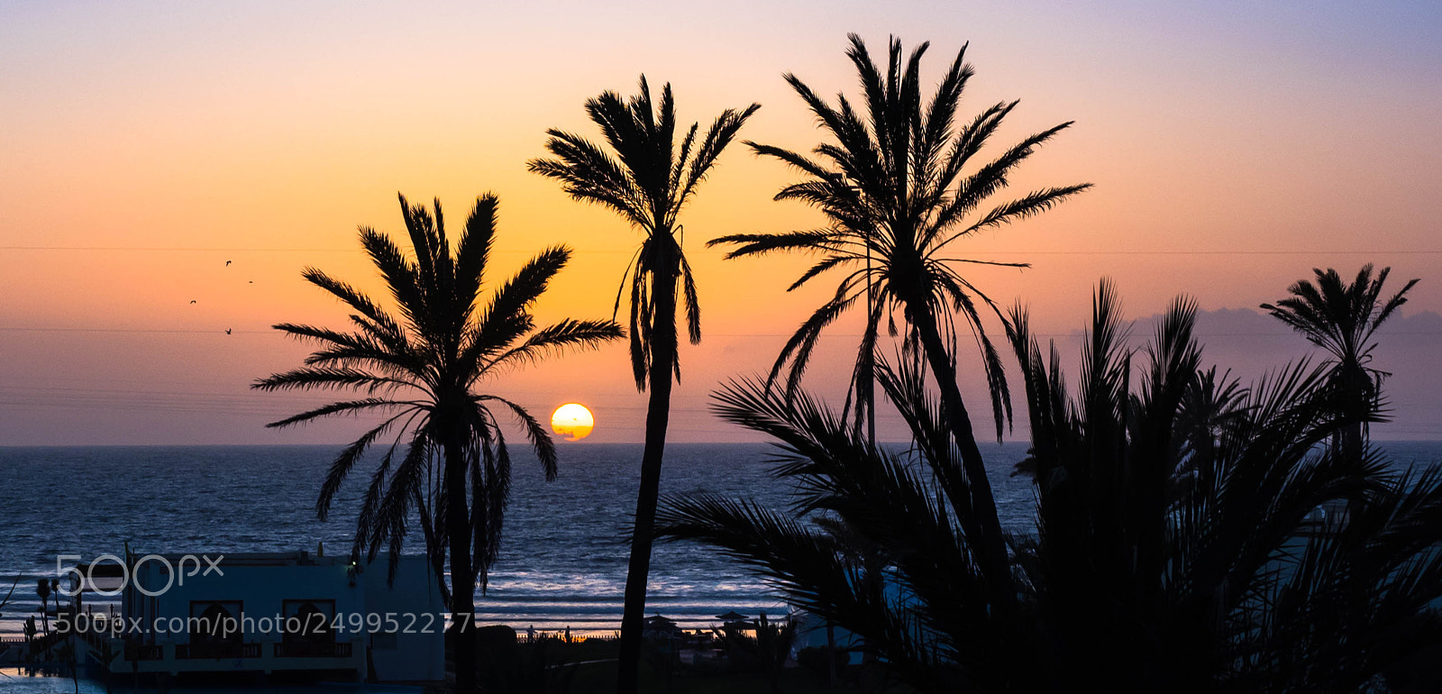 Olympus OM-D E-M1 sample photo. Beach sunset photography