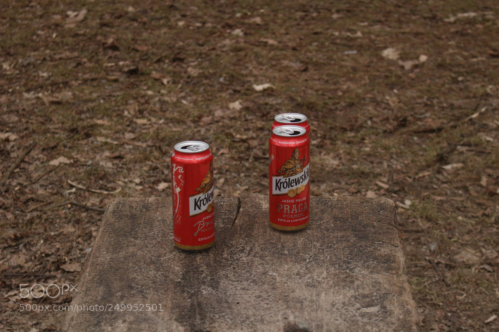 Canon EOS 100D (EOS Rebel SL1 / EOS Kiss X7) sample photo. Img photography