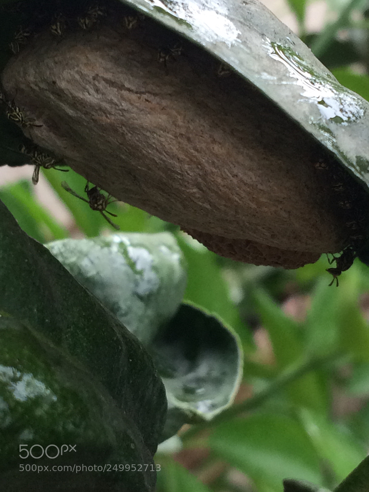 Apple iPhone 5s sample photo. Untitled photography