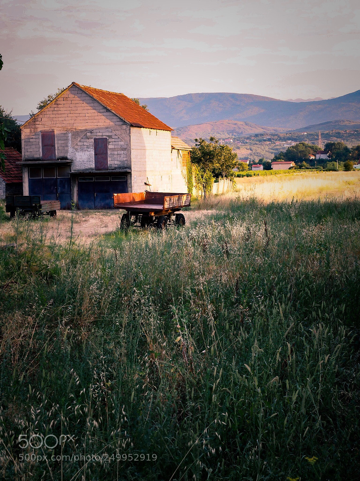 Olympus OM-D E-M1 Mark II sample photo. House in the vinyard photography