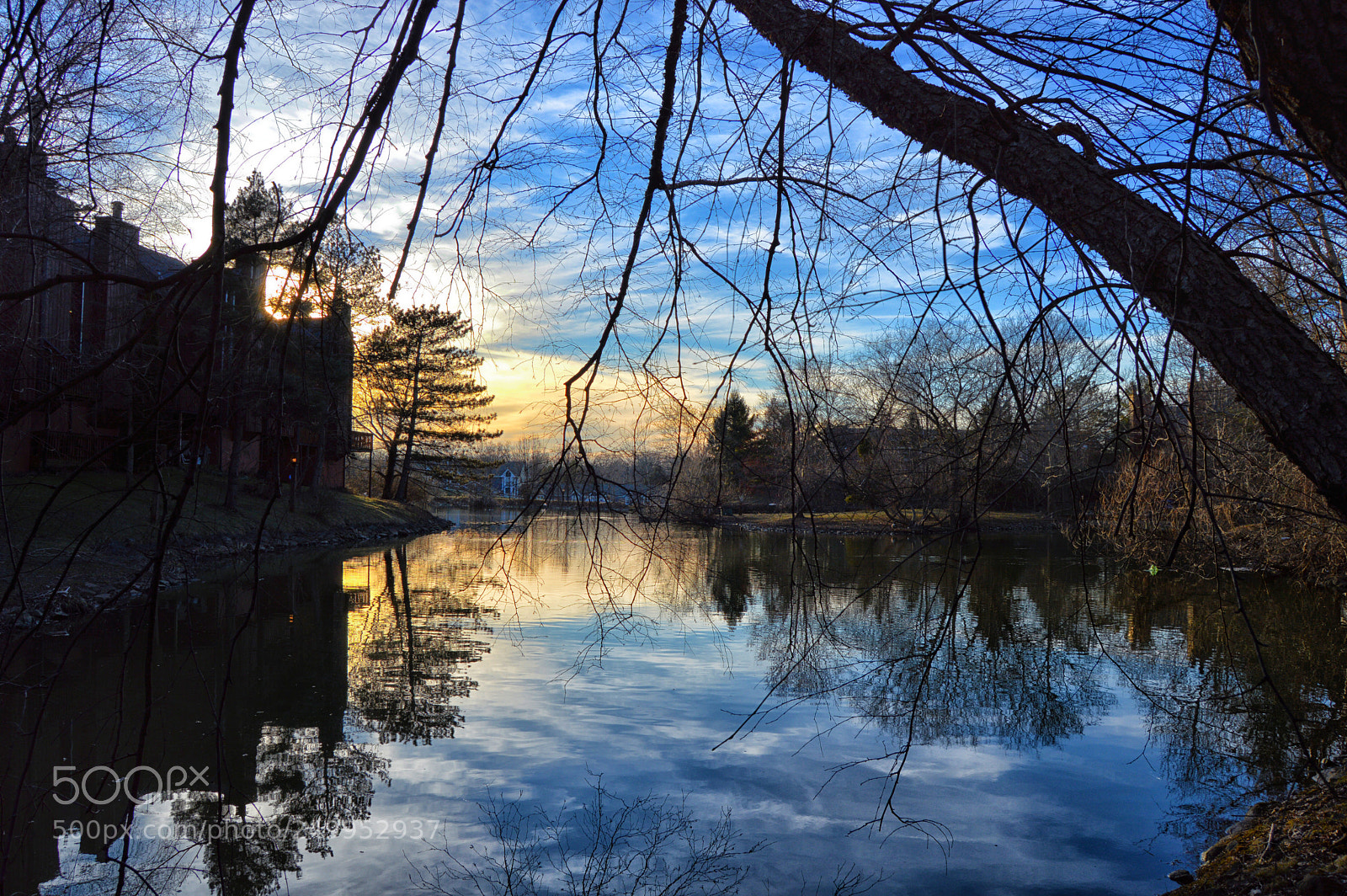 Nikon D3200 sample photo. Pond reflection photography
