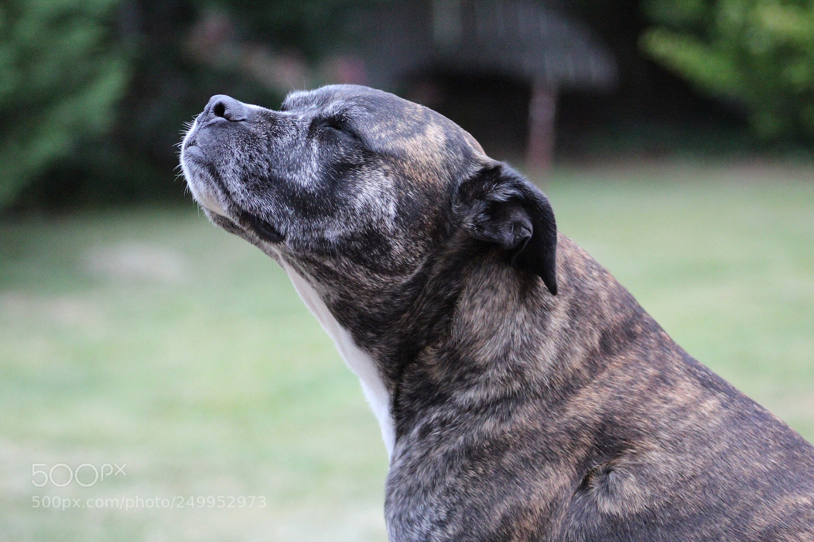 Canon EOS 600D (Rebel EOS T3i / EOS Kiss X5) sample photo. Savoring the moment... photography