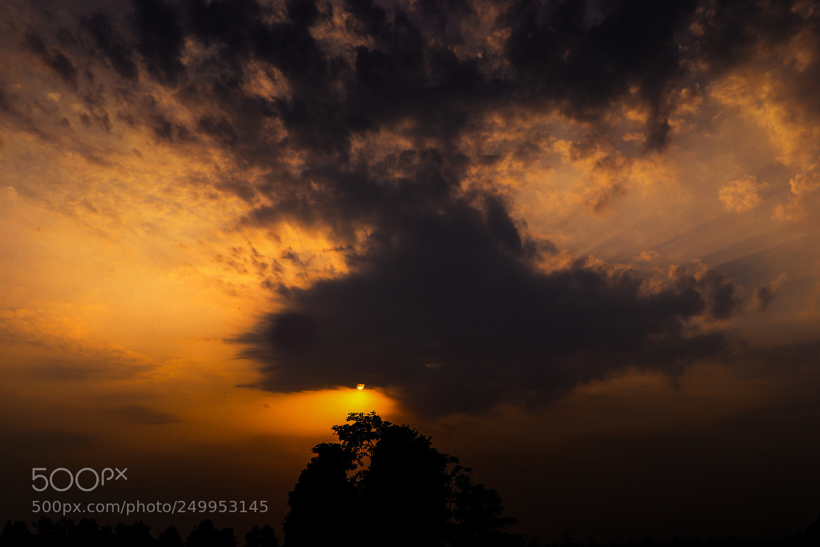 Canon EOS 80D sample photo. Mysunshine photography
