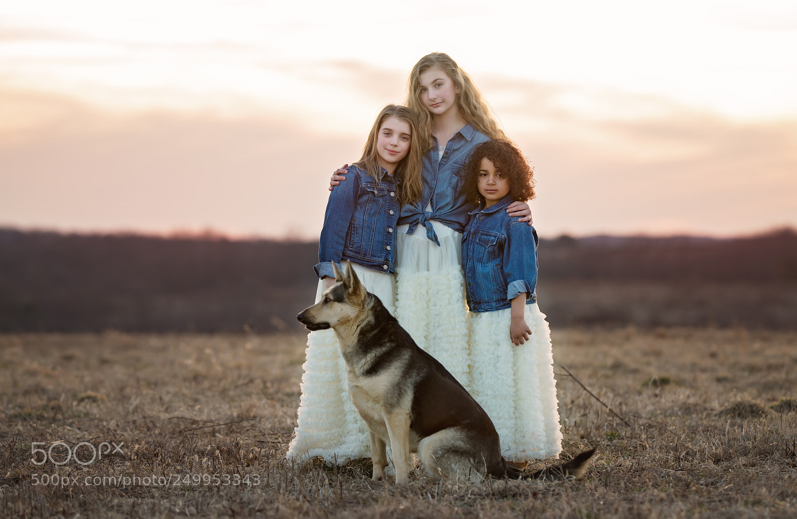 Nikon D610 sample photo. Sunset photography
