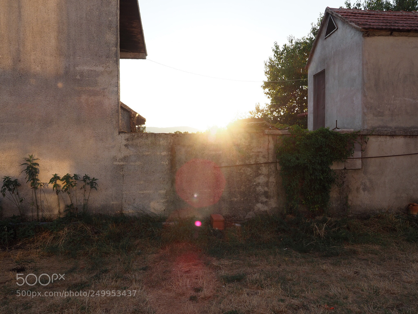 Olympus OM-D E-M1 Mark II sample photo. Sunshine behind the wall photography