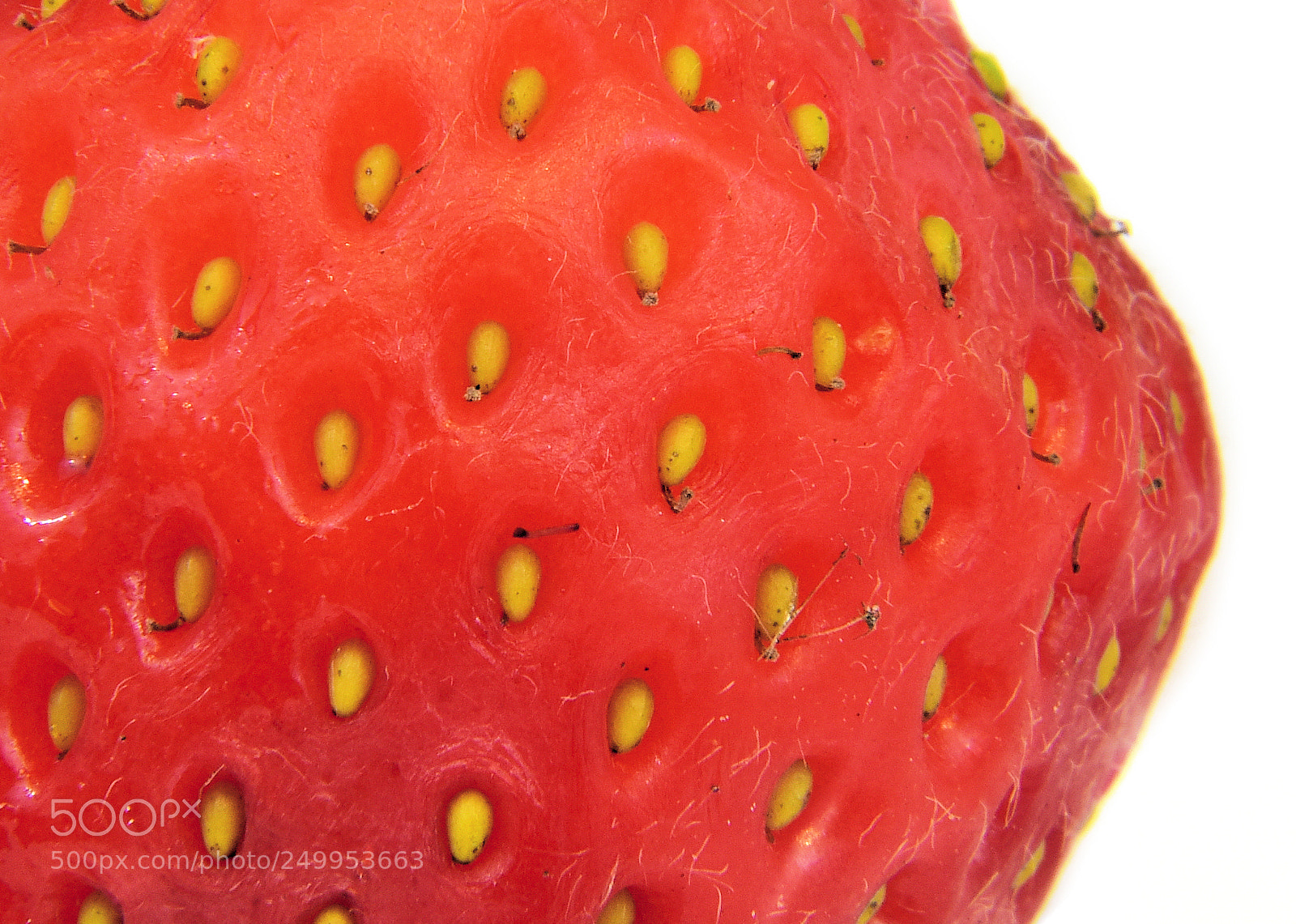 Nikon D810 sample photo. Strawberry photography