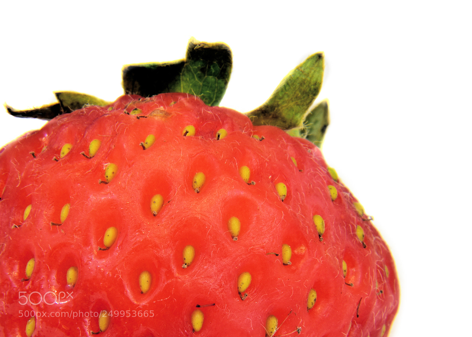Nikon D810 sample photo. Strawberry photography