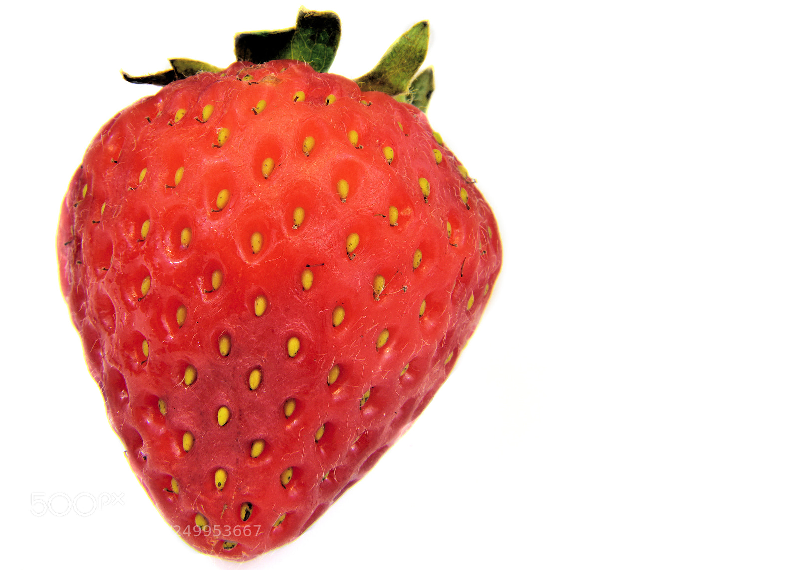 Nikon D810 sample photo. Strawberry photography