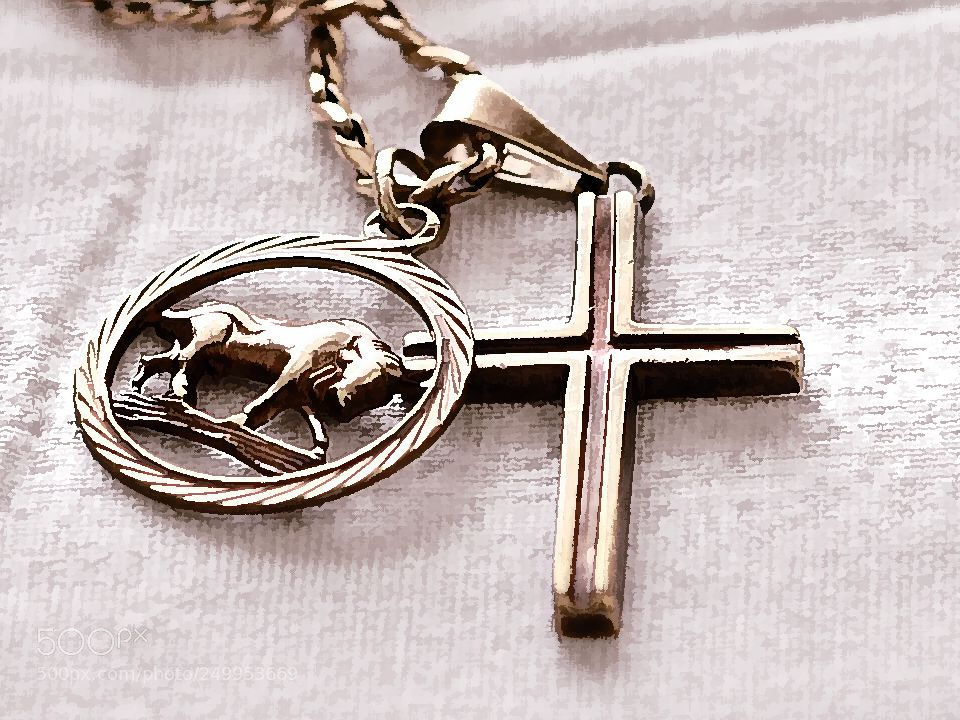 Nikon D7000 sample photo. The bull & the cross photography