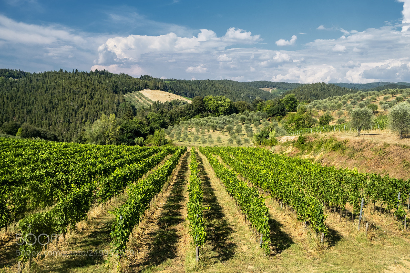 Fujifilm X-T2 sample photo. Summer landscape in the photography
