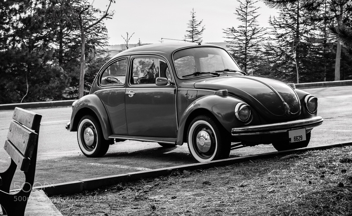 Nikon D7200 sample photo. Beetle photography
