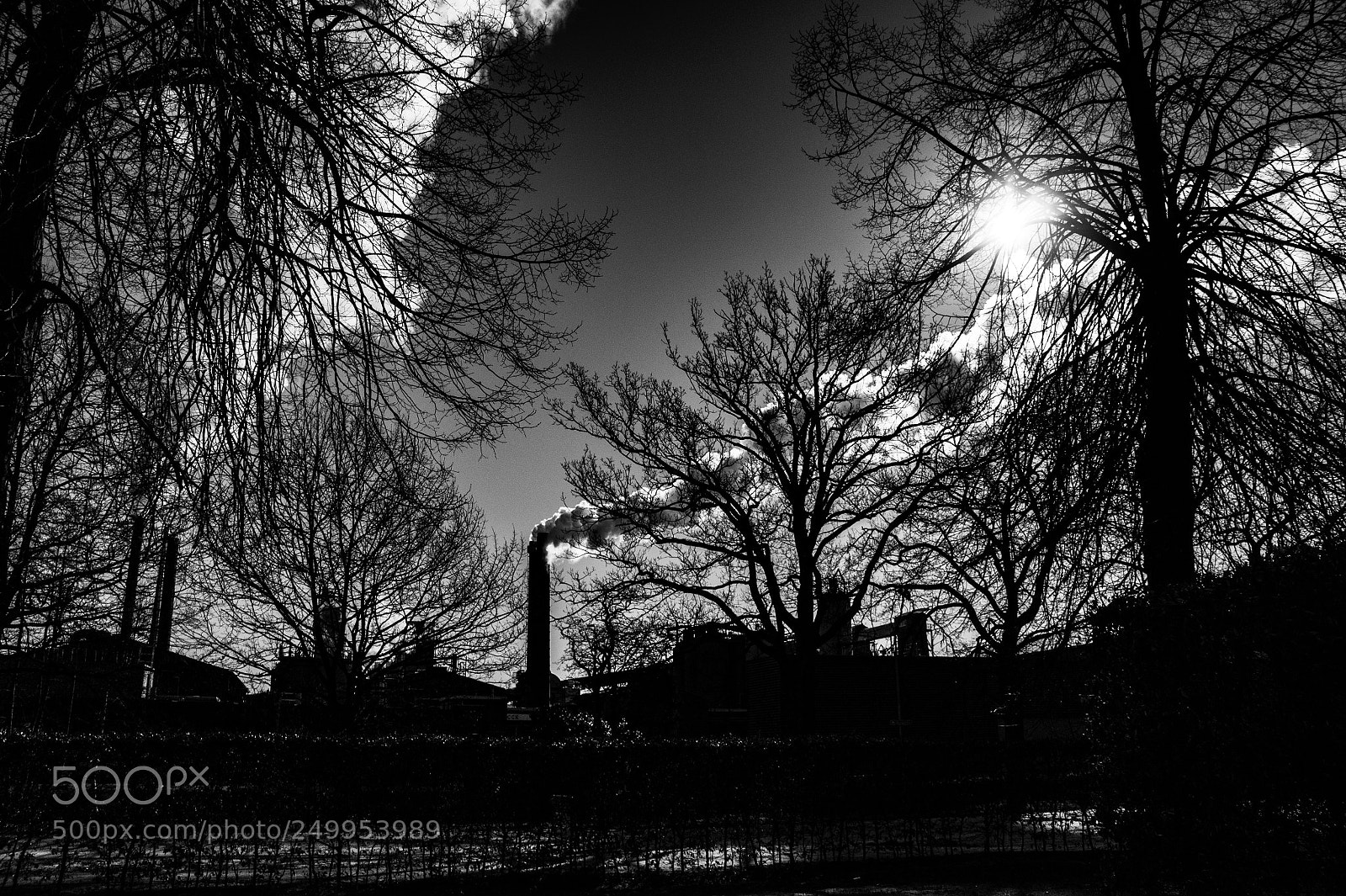 Sony Alpha NEX-5 sample photo. The factory ii photography