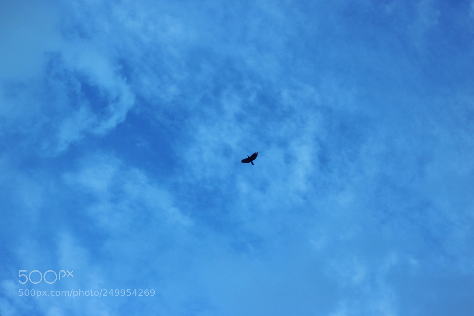 Canon EOS 750D (EOS Rebel T6i / EOS Kiss X8i) sample photo. Mor bord photography