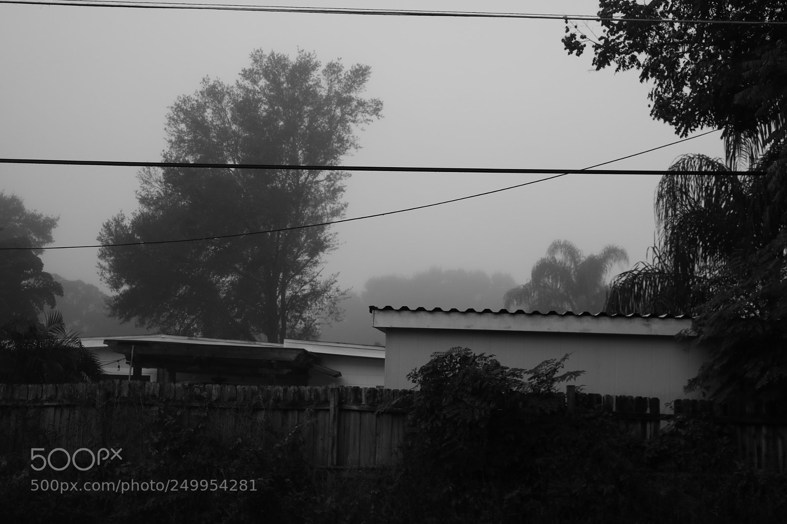 Canon EOS 750D (EOS Rebel T6i / EOS Kiss X8i) sample photo. More fog photography