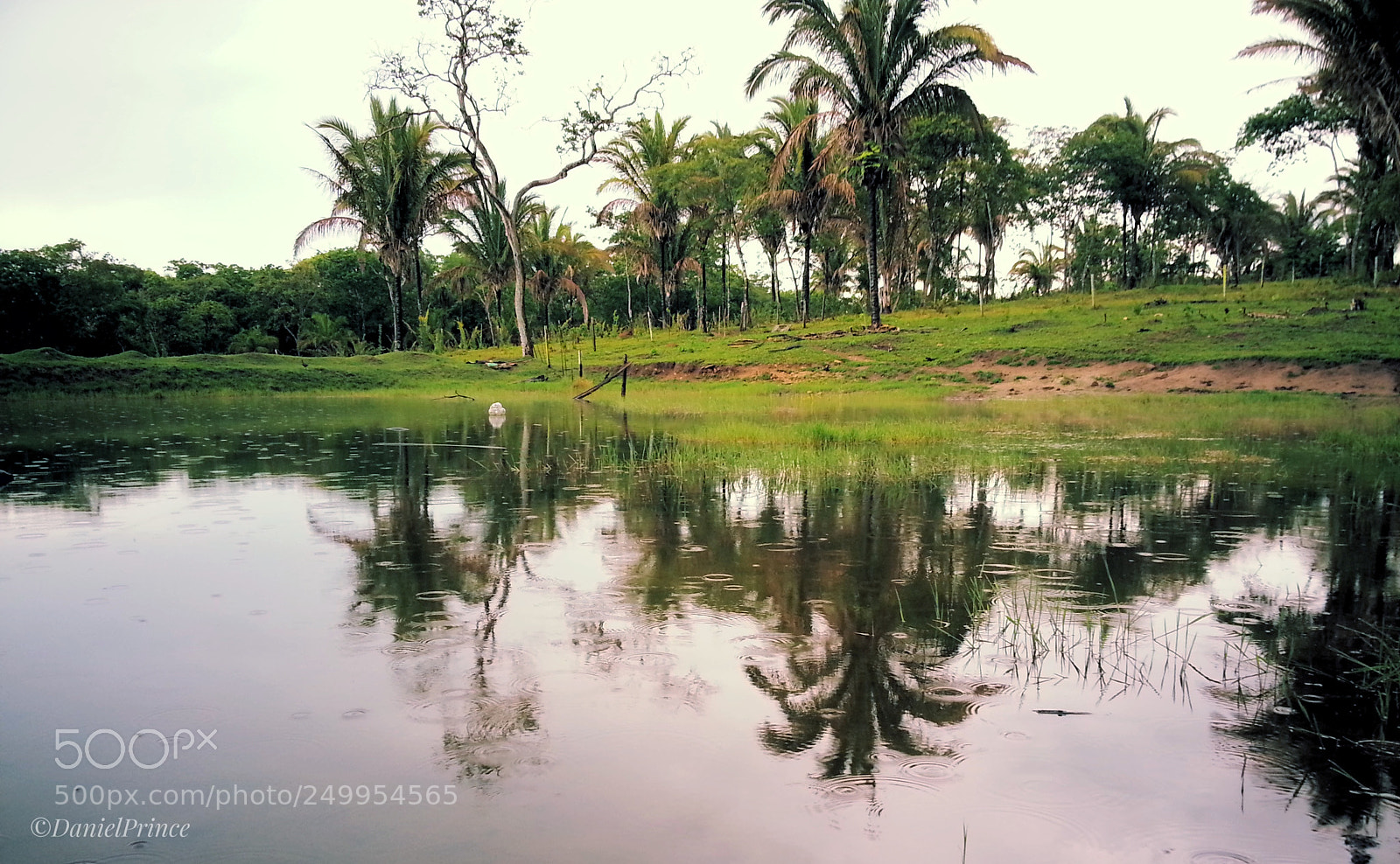 Samsung Galaxy Note2 sample photo. Untitled photography
