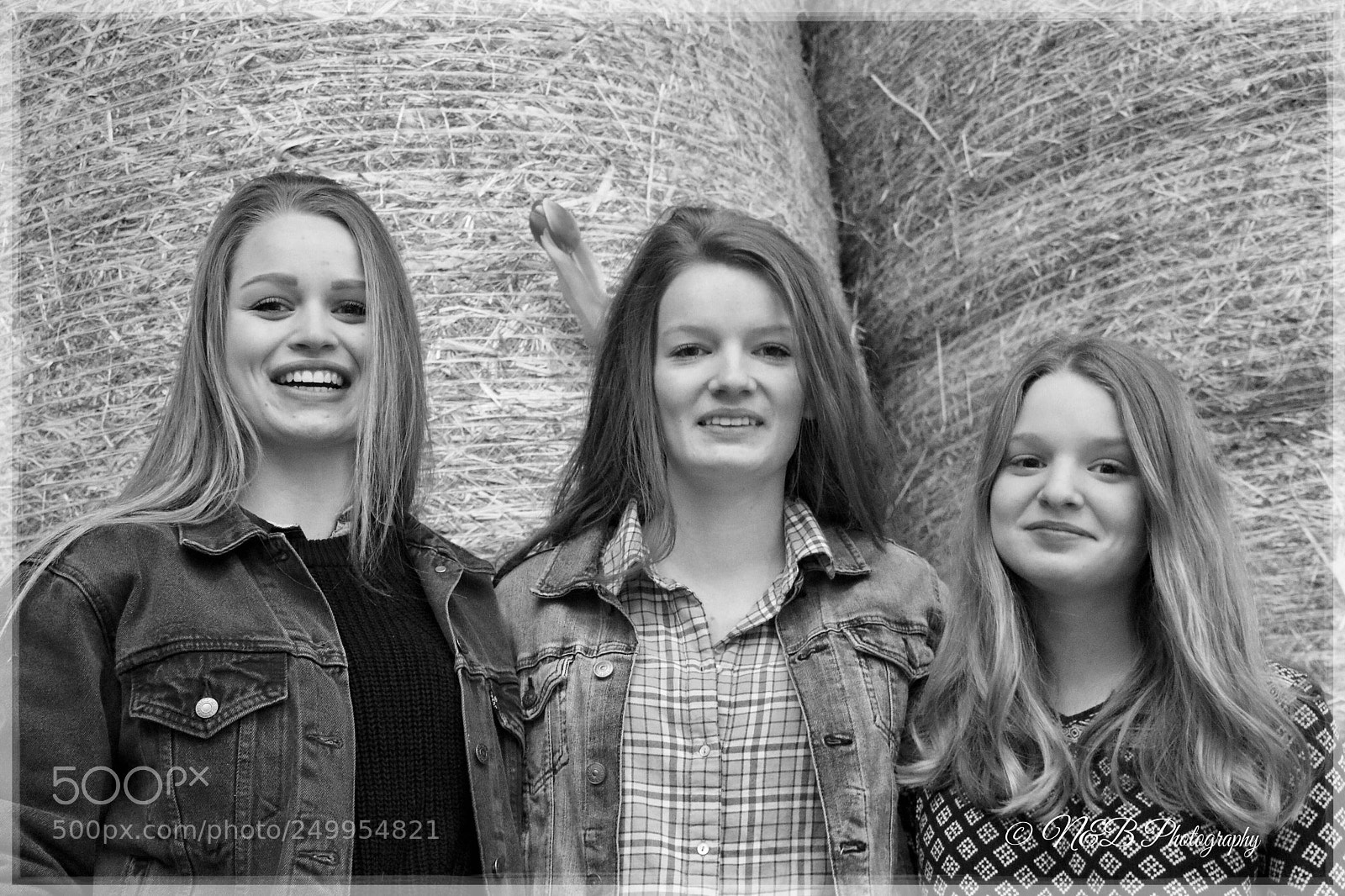 Canon EOS 80D sample photo. Untitled photography