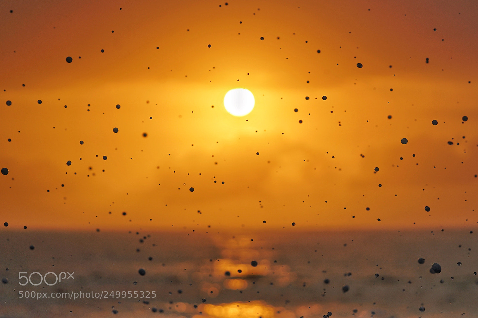 Sony a7R II sample photo. Sunrise specks photography