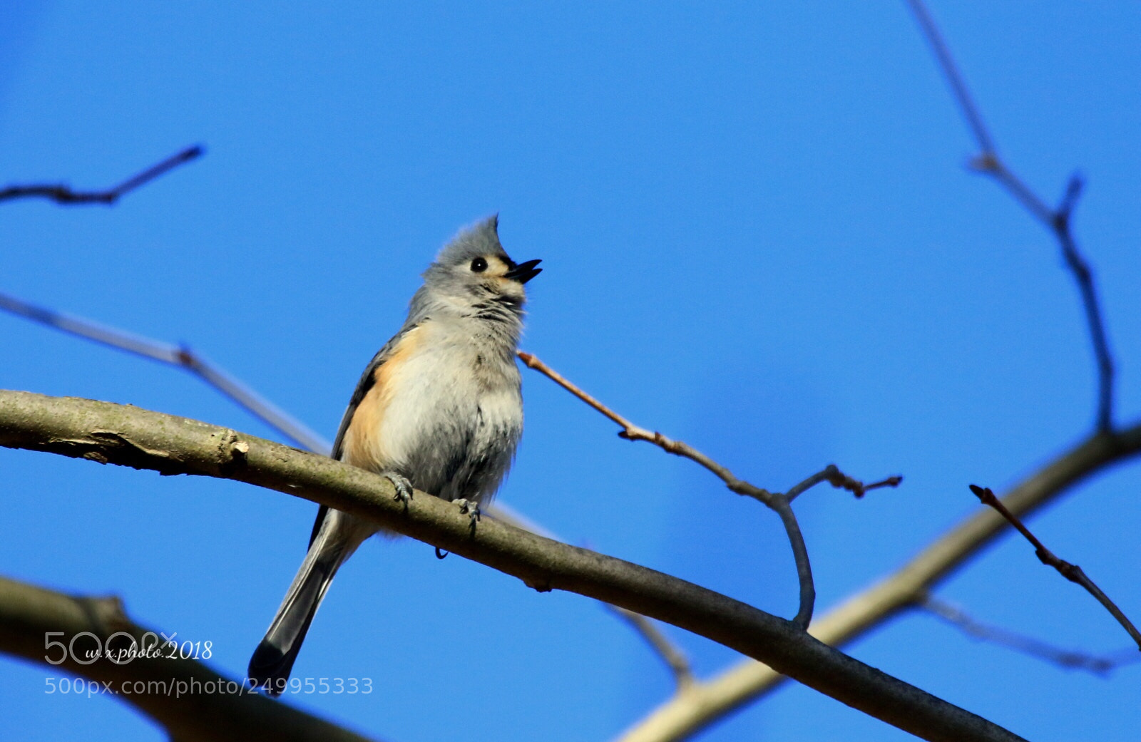 Canon EOS 7D Mark II sample photo. Spring photography