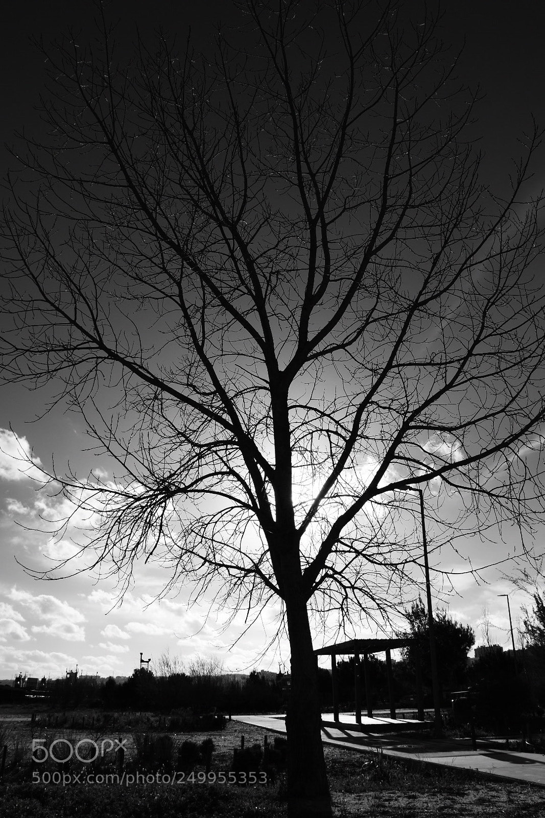 Nikon D5500 sample photo. Untitled photography