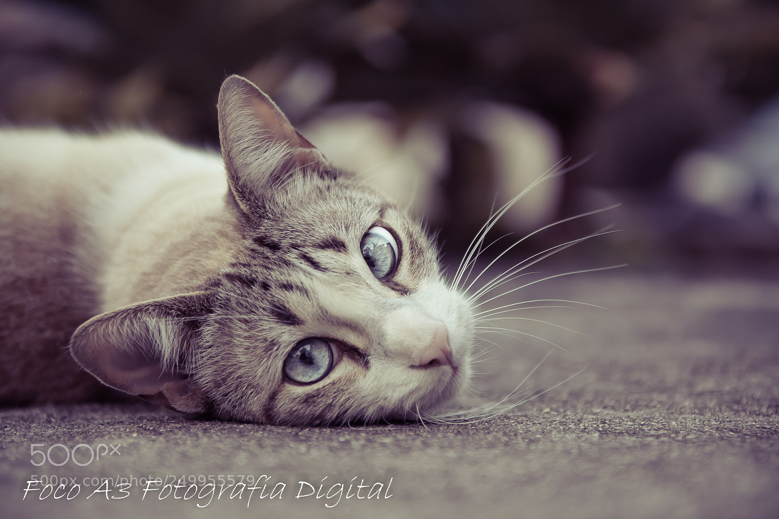Nikon D7100 sample photo. Untitled photography