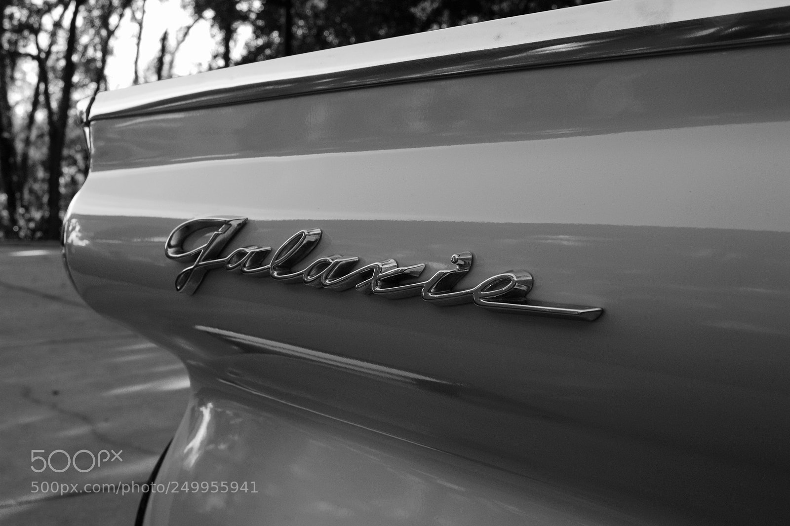 Canon EOS 100D (EOS Rebel SL1 / EOS Kiss X7) sample photo. Classic black and white photography