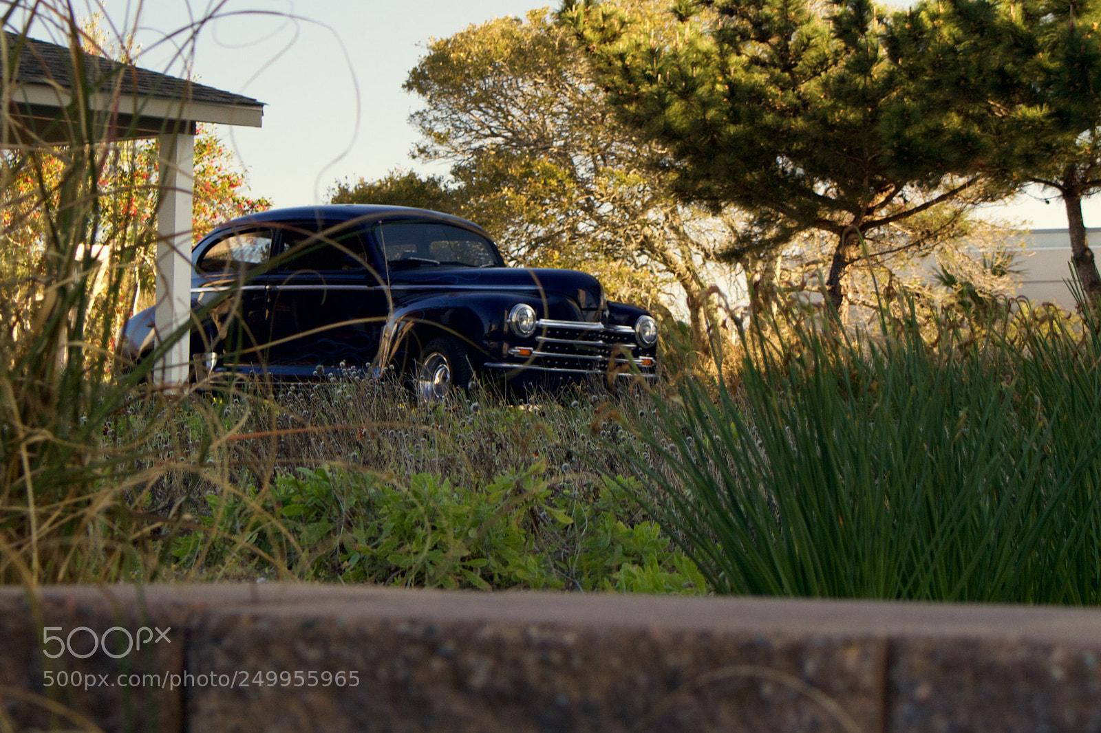 Canon EOS 100D (EOS Rebel SL1 / EOS Kiss X7) sample photo. Classic black car hiding photography