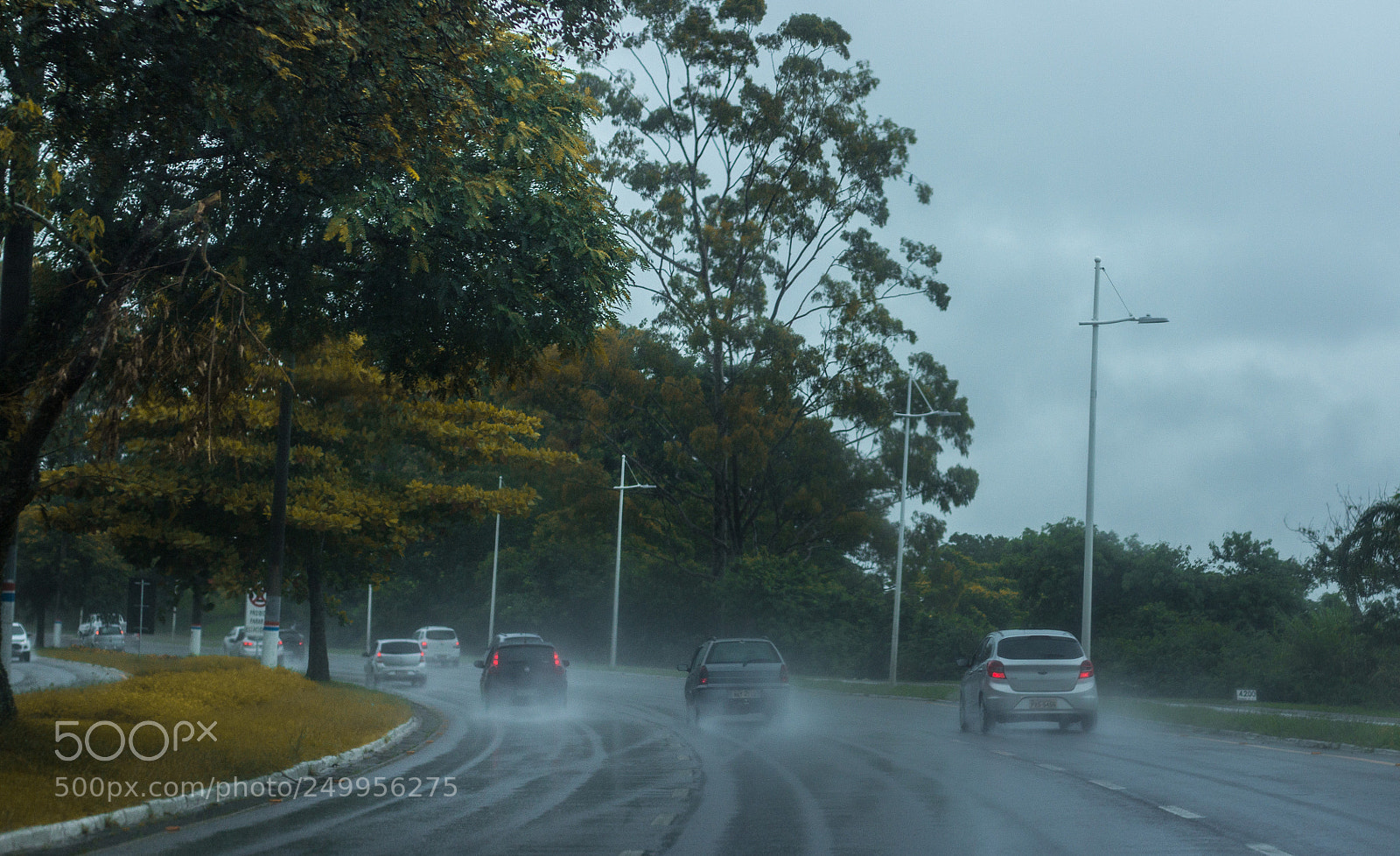 Canon EOS 60D sample photo. De tudo um pouco photography