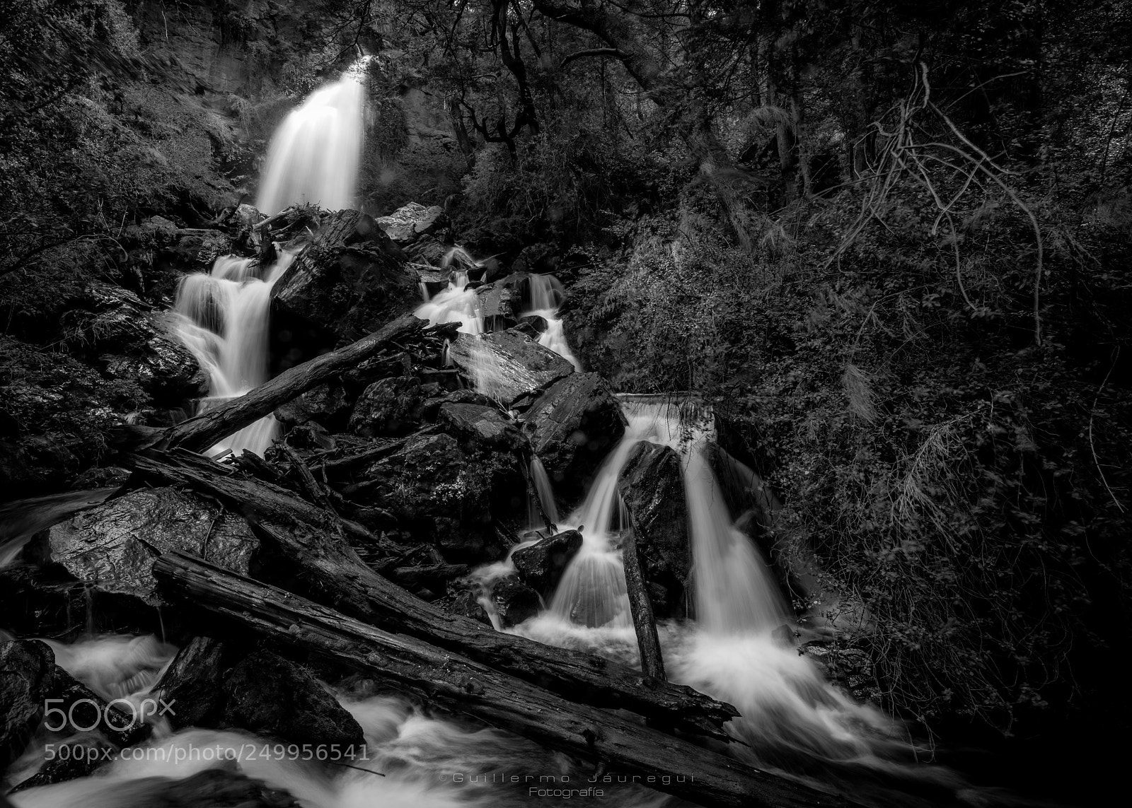 Nikon D810 sample photo. Cascada en el bosque photography