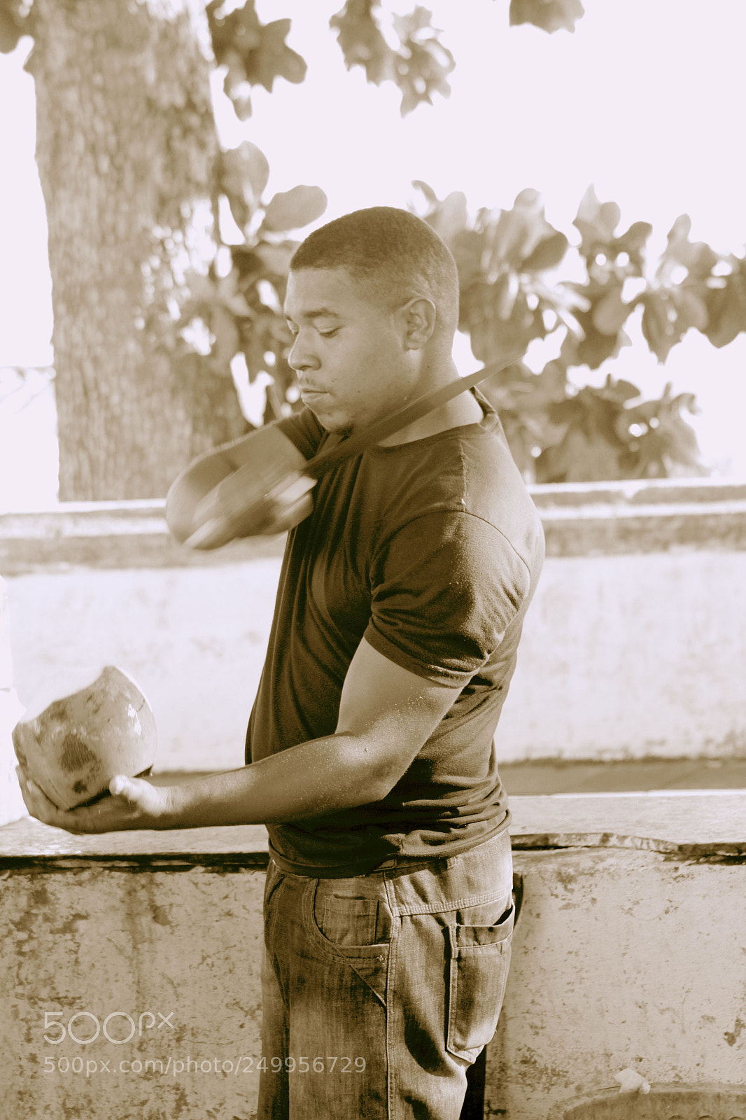 Canon EOS 700D (EOS Rebel T5i / EOS Kiss X7i) sample photo. Coconut vendor photography