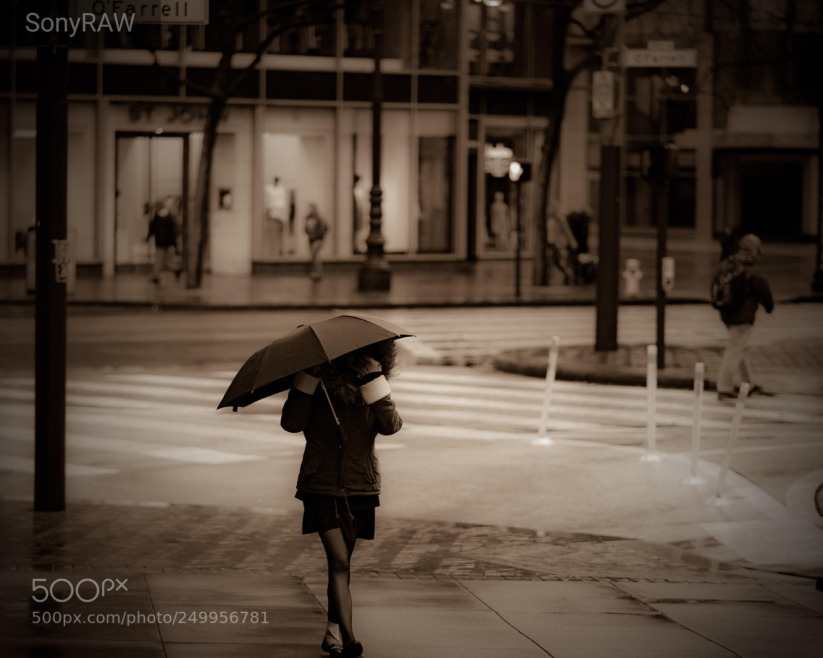 Sony a6500 sample photo. Rainy days photography