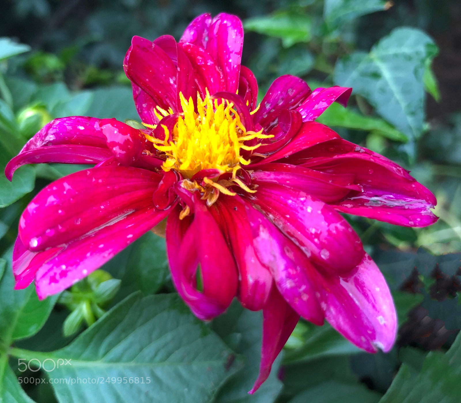 Apple iPhone X sample photo. Untitled photography